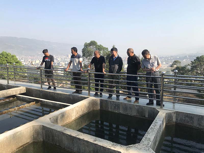 小-20190424_IMG_4696.jpg