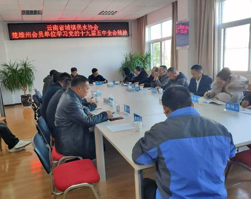 小-省水协楚雄州会员单位深入学习贯彻党的十九届五中全会精神1.jpg