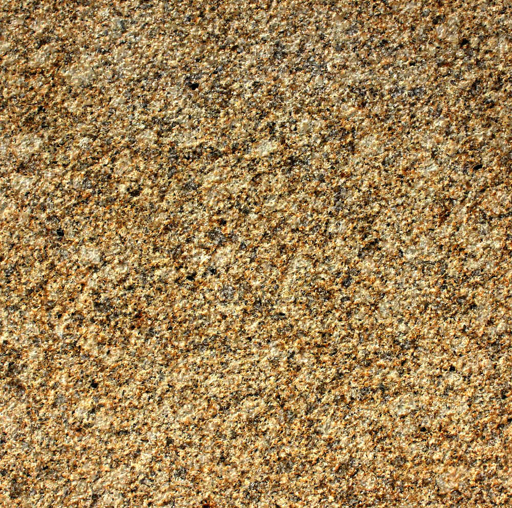 黄金钻（荔枝）