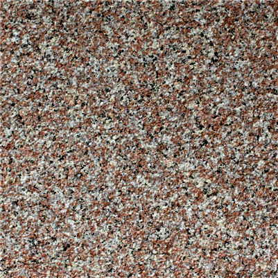 海洋红（荔枝）